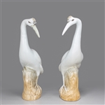 Pair of Chinese Porcelain Crains