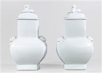 Pair Chinese Ceramic Covered Jar